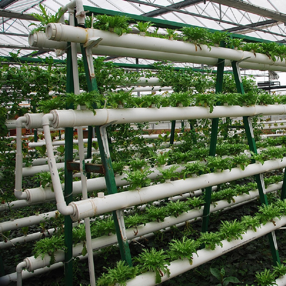 Manufacturer Soilless Cultivat - Hydroponic Tower 评论和价格