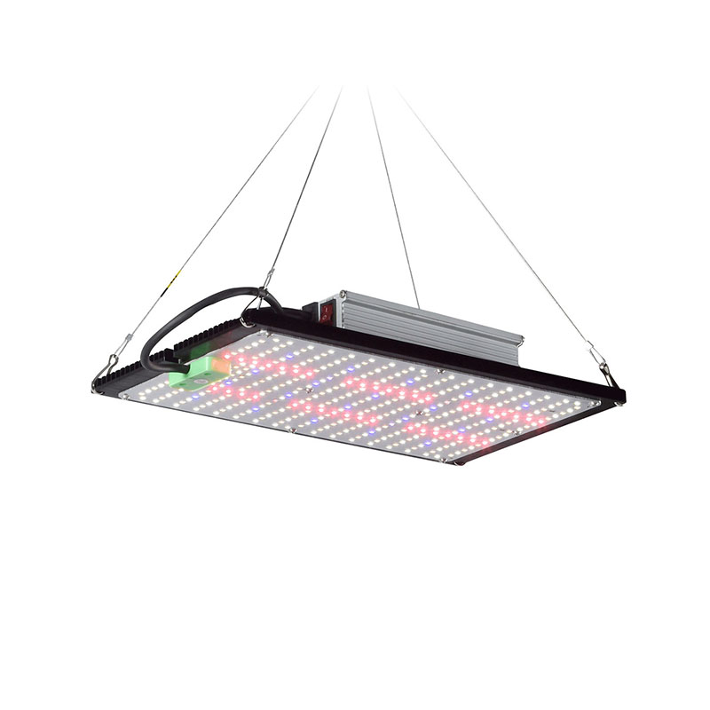 LED Quantum‑Board Grow Light F - Grow Light Led 评论和价格