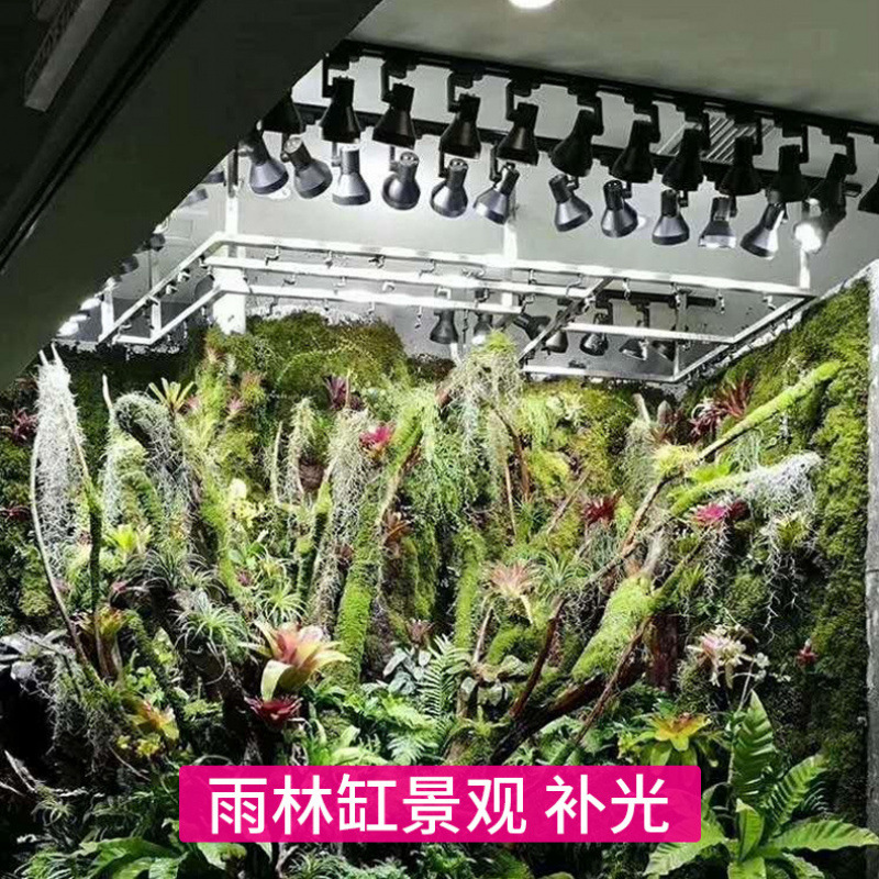 Full Spectrum Track Grow Lamp  - Plant Grow Light Full Spectrum 评论和价格