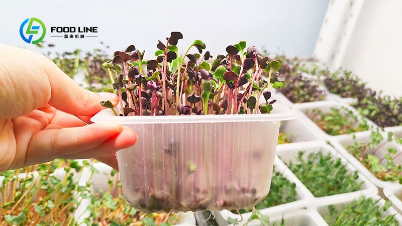 Smart Hydroponics 20Ft/40Ft Sh - Hydroponic Tower 评论和价格