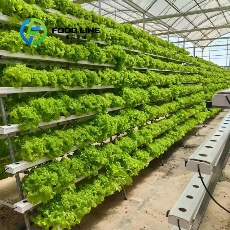 Smart Hydroponics 20Ft/40Ft Sh - Hydroponic Tower 评论和价格