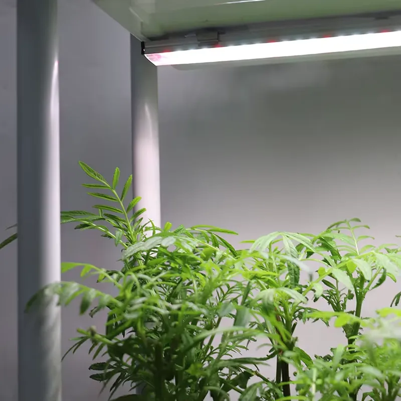 Movable Vertical Grow 3 Level  - Smart Garden System 评论和价格
