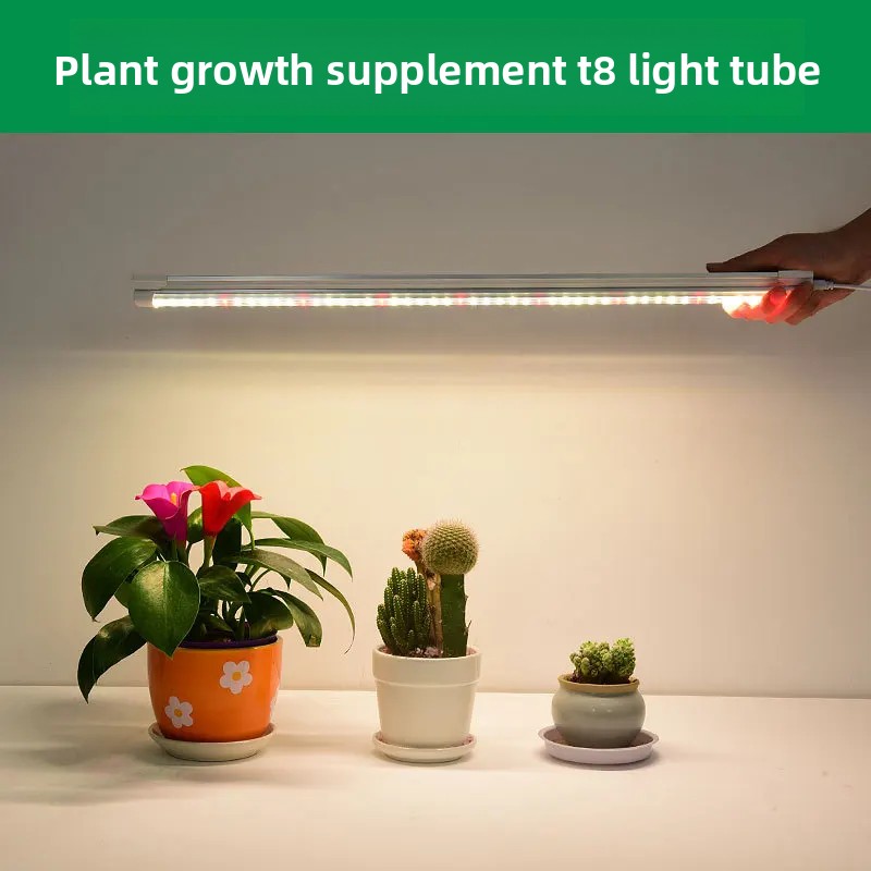 Indoor Green Plant Supplement  - Plant Grow Light Full Spectrum 评论和价格