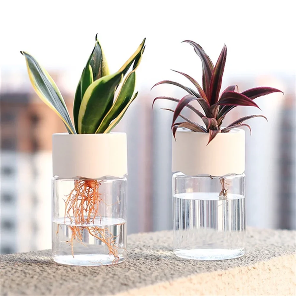 Mini Hydroponic Flower Pot Tra - Hydroponic Grow Pod 评论和价格
