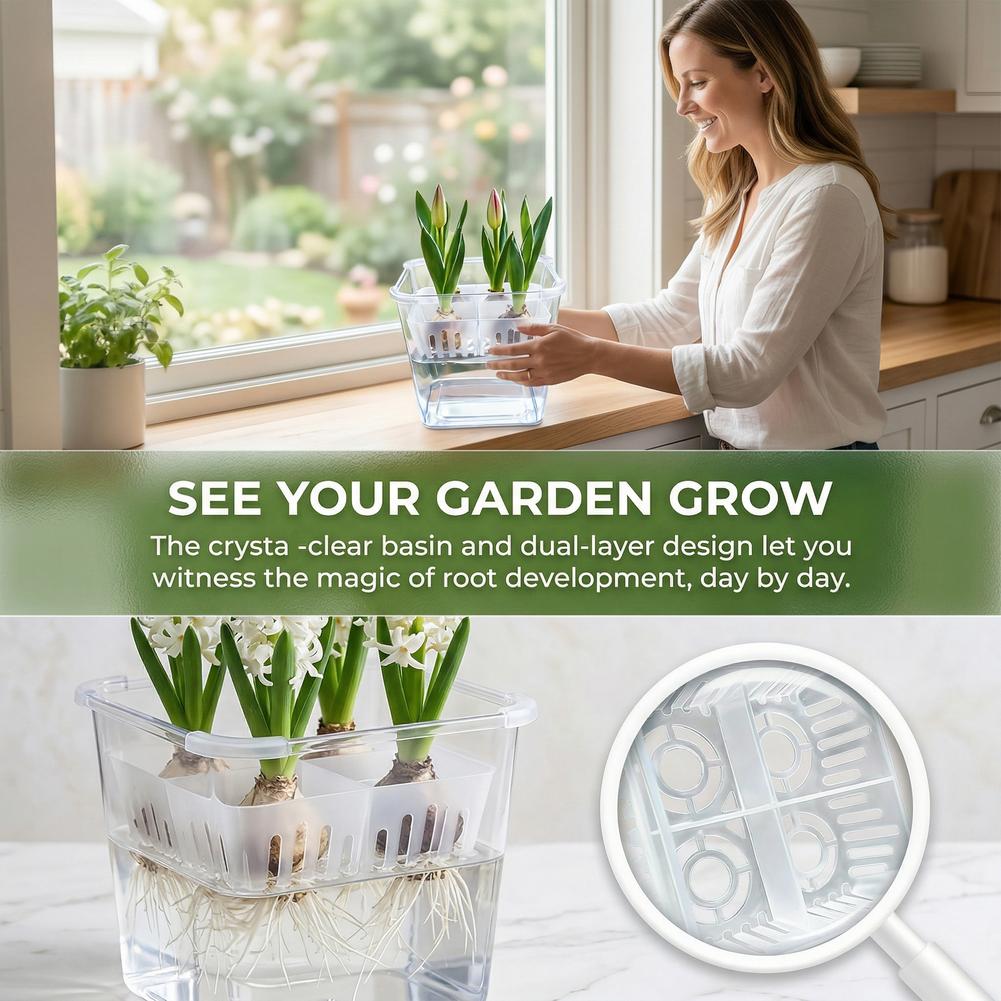 1pcs Hydroponic Planter Tulip  - Hydroponic Grow Pod 评论和价格