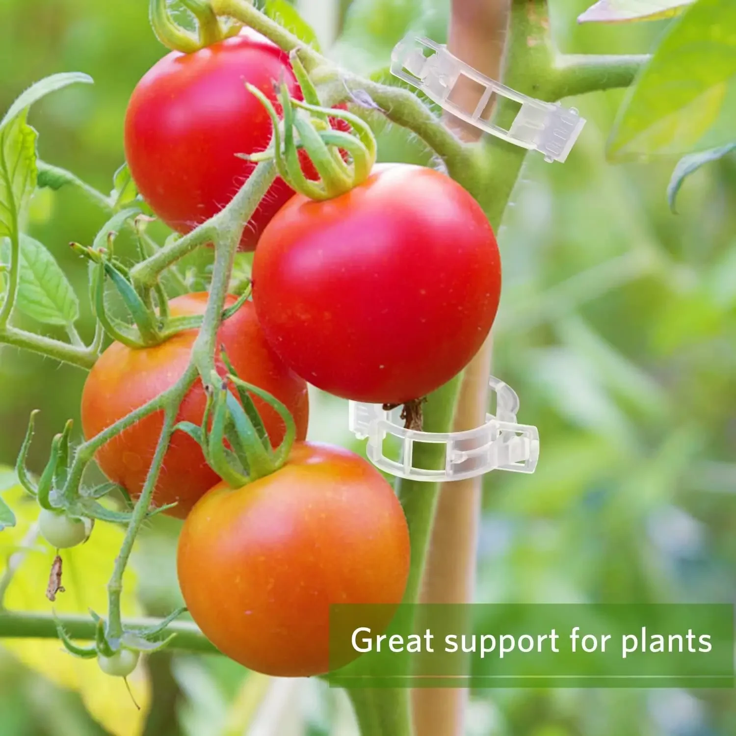 Plant Support Clips Reusable P - Smart Garden Kit 评论和价格
