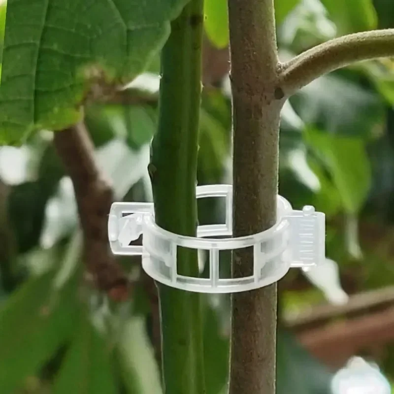 Plant Support Clips Reusable P - Smart Garden Kit 评论和价格