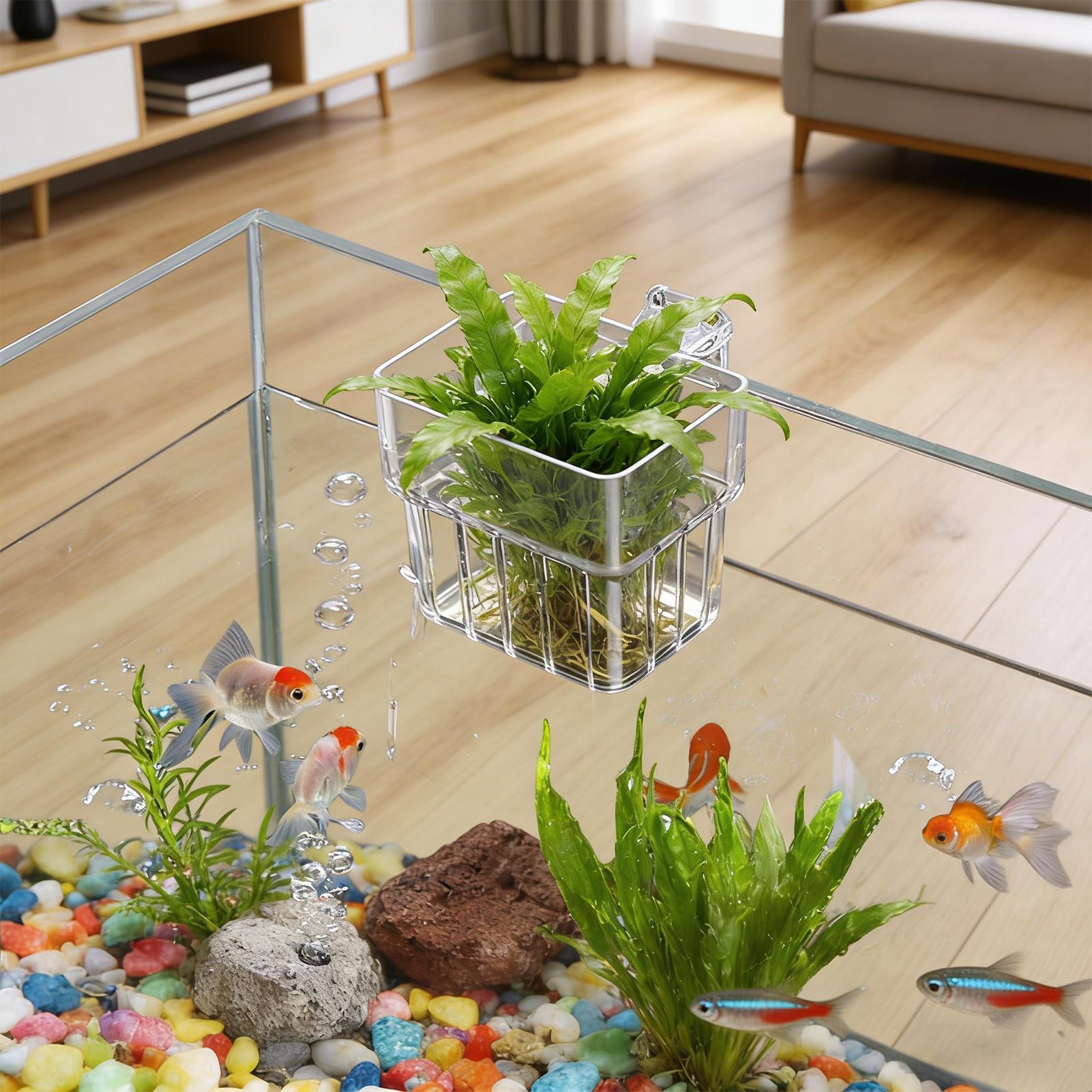 Transparent Hangable Aquarium  - Hydroponic Grow Pod 评论和价格