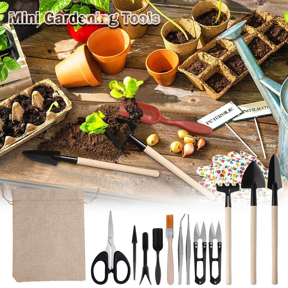 13PCS Succulent Plants Tool Se - Indoor Garden Kit 评论和价格