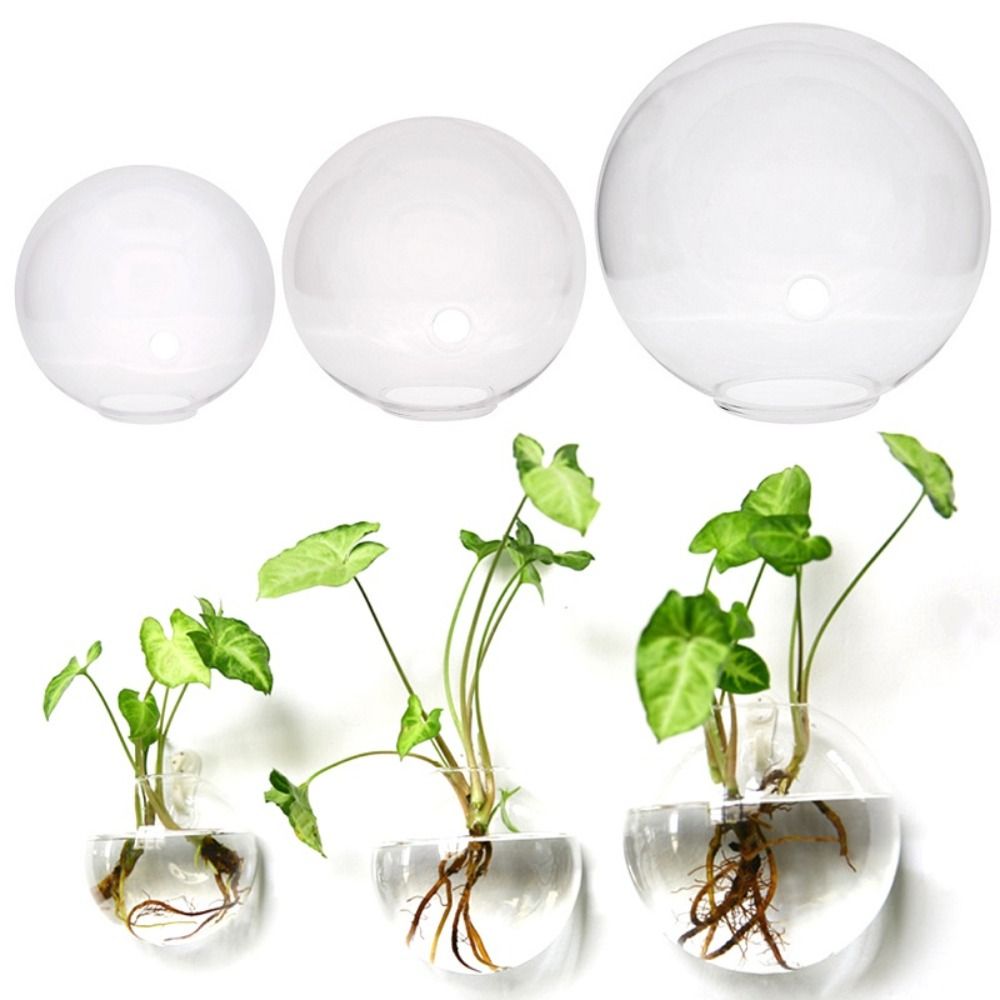 Transparent Glass Vase Wall Ha - Hydroponic Grow Pod 评论和价格