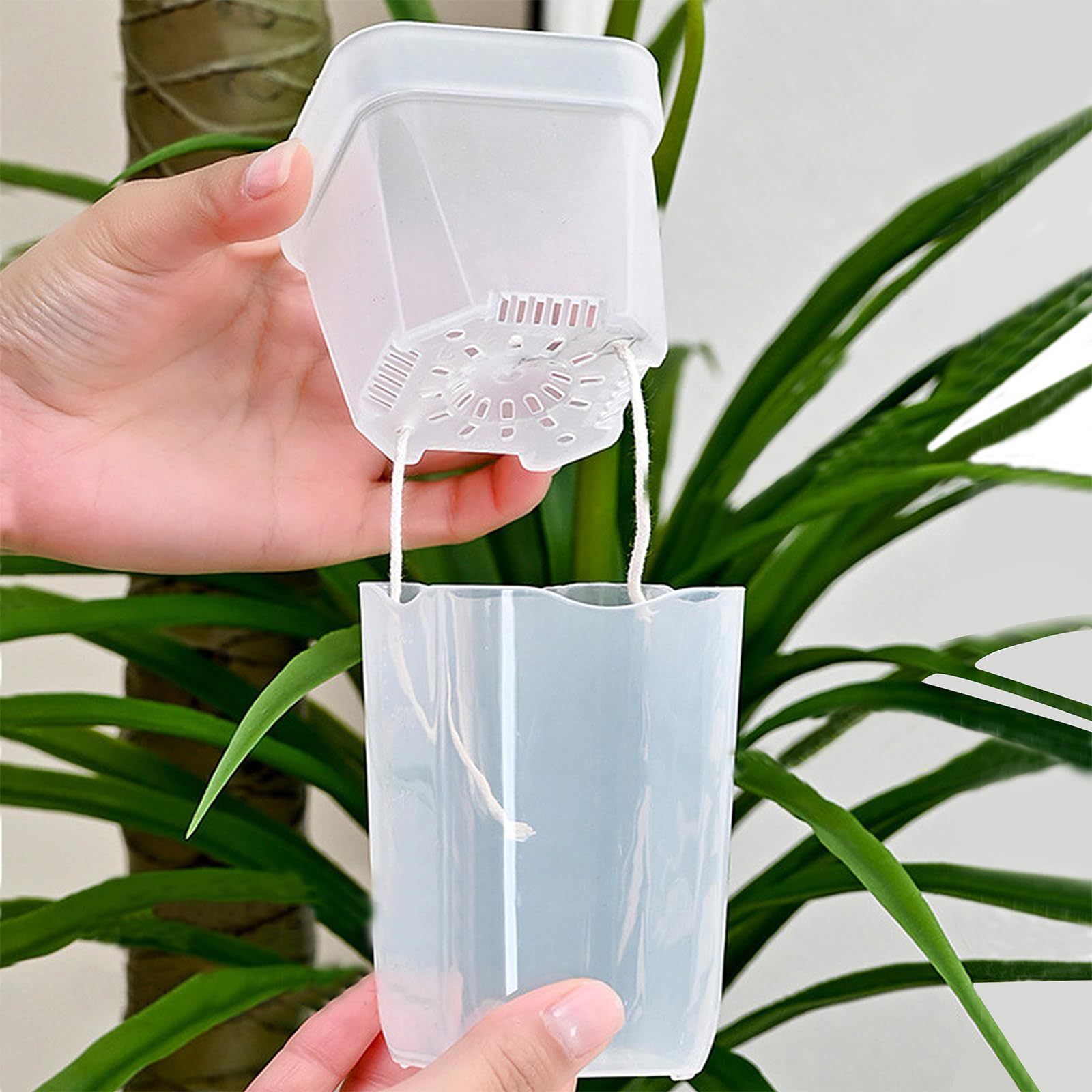 16/32 Pack Self-Watering Plant - Plant Monitor 评论和价格