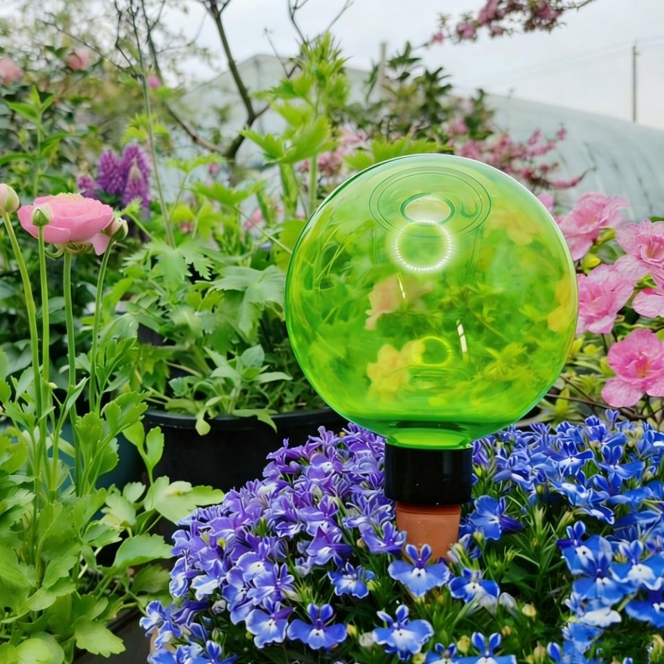 3pcs Large Plant Self Watering - Self Watering Planter 评论和价格