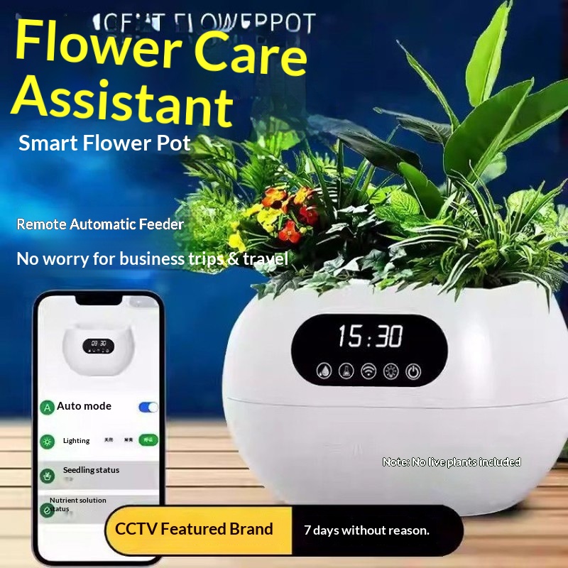Ai Intelligent Flowerpot Autom - Automatic Watering 评论和价格