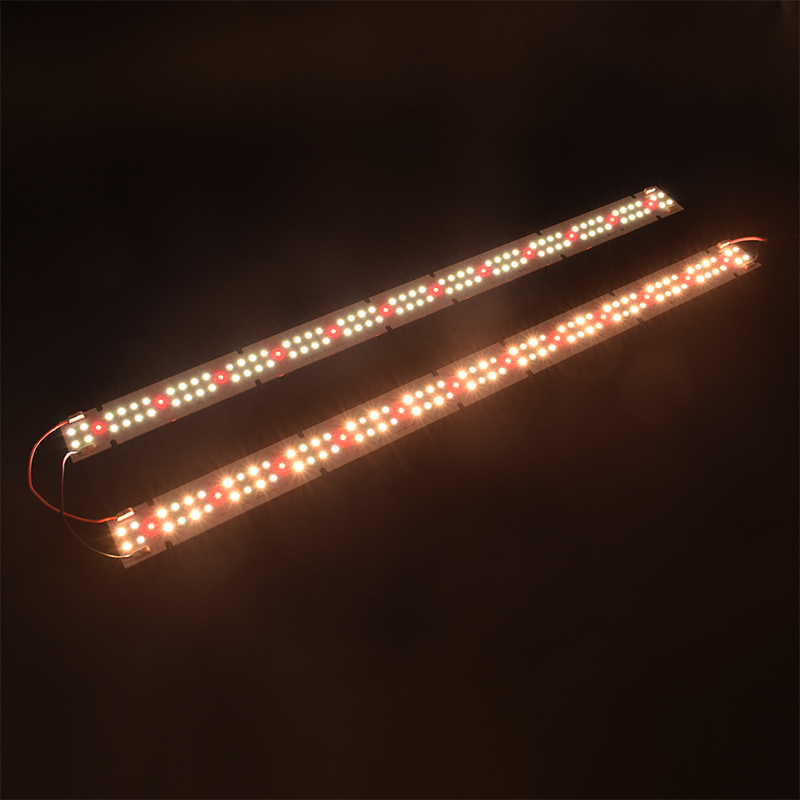 High Quality IP55 Rated COB LE - Grow Light Led 评论和价格