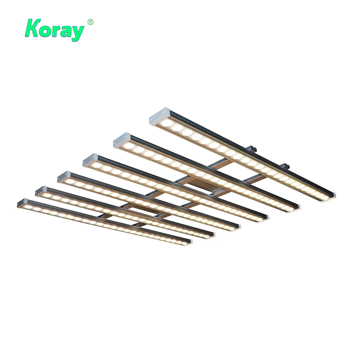 Koray 900W Indoor full spectru - Grow Light Led 评论和价格
