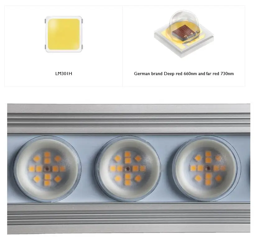 Koray 900W Indoor full spectru - Grow Light Led 评论和价格