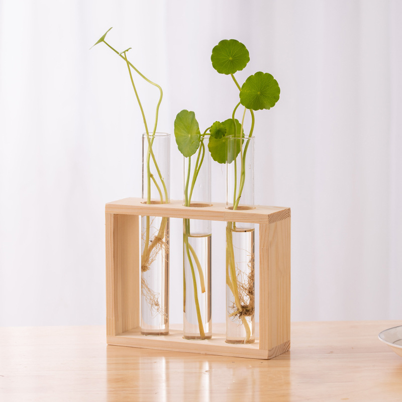 Hydroponic Plants Container wi - Hydroponic Grow Pod 评论和价格