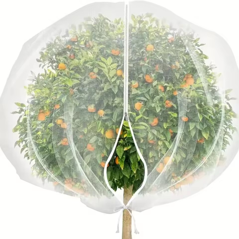 Zip Drawstring Plant Insect Sc - Plant Monitor 评论和价格